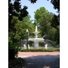 Savannah: : Forsyth Park Fountain 2