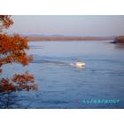 Cape Girardeau: : Mississippi River from Cape Rock