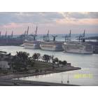 Miami: : Biscayne Bay cruise ships