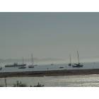 Santa Barbara: : Early Morning Float