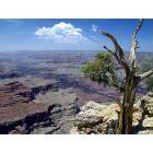 Grand Canyon Village: : View from the South Rim.