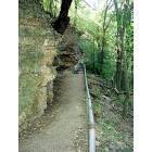 Austin: : Hiking Trail in Pease Park