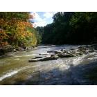 North East: Twent mile creek - fall