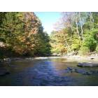 North East: Twent mile creek - fall