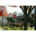 Cranford: : Cranford at Christmas, by Denise Broesler, RE/MAX