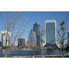 Jacksonville: : Downtown Jacksonville - Viewed from the South Bank of the St' John's River