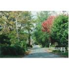 Rocky Point: Beautiful fall photo of Cherry Road, Rocky Point