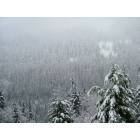 Snoqualmie: Snow in the mountains near Snoqualmie