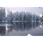 Sammamish: Beaver Lake in the snow