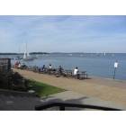 Madison: : a peaceful afternoon on the Memorial Union terrace
