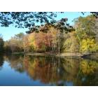 Potomac: Fall Foliage in Great Falls