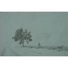 Lancaster: : Snow and the Joshua Tree