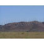 Mojave: : Windmills in Mojave