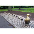 Boston: : Ducks at Boston Garden