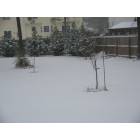 Sneads Ferry: : snow in sneads ferry!