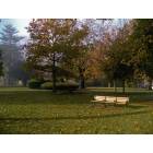 Owego: : Draper Park in the morning by the river.
