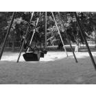 St. Peters: : Swings at Rec Plex Park