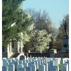 Springfield: : Springfiled National cemetery