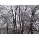 Berea: : Winter can be very beautiful in Berea, Kentucky