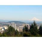 Portland: : Downtown/Mt. Hood from Washington Park