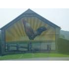 Mount Joy: Rooster on a barn in Mount Joy