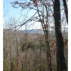 Crossville: : Breathtaking view of the Cumberland mountains