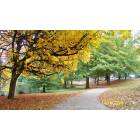 Eugene: : The Autumn Walk