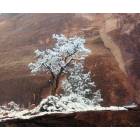 Fruita: : Winter in the Colorado National Monument