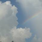 Cape Coral: : Backyard rainbow