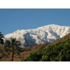 Palm Springs: : Santa Rosa range in Dec. 08