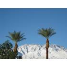 Palm Springs: : Mt. San Jacinto covered in snow with palms Dec. 08