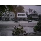 Conneaut: : ice storm march 2008