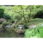 Portland: : Portland's Japanese Garden