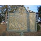 Buena Vista: Historical Marker, Marion County Courthouse, Buena Vista, Ga