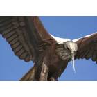 La Crosse: : The Eagle Statue in Riverside Park. La Crosse, WI