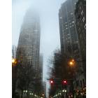 Charlotte: : Standing Tall- Bank of America Corporate Centre in Uptown Charlotte