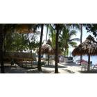 Key Largo: : Seafarer Resort 97684 Overseas hwy 33037