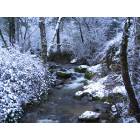 Ashland: : Winter Wonderland in Lithia Park