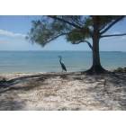 Sanibel Island: : A typical day on the caseway just off the Sanibel Beach Bride on a May's day!