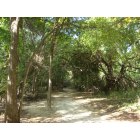 Colleyville: Hiking trail in Colleyville Nature Park