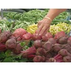 Wilkes-Barre: : hoosing fresh produce at the Farmers' Market
