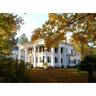 Angelica: : The Magnolia House- Restaurant, Catering etc, Located on the Park Circle