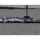 Seadrift: : Marker at entrance to Seadrift Harbor after Christmas snow