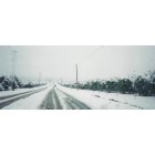 Porterville: Snow in Porterville 1/25/1999
