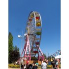 Grass Valley: : County Fairgrounds - Summer