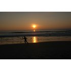 Carlsbad: : Chasing Seagulls at Sunset