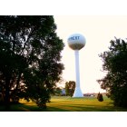 Forrest: Water Tower at sunset