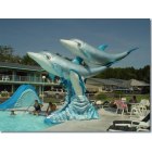 Wisconsin Dells: Home of the Dolphins: Wisconsin Dells