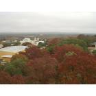 Boerne: Fall foliage as viewed from the Benedictine Tower