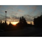 Citrus Heights: Sunday Sunrise in Citrrus Heights Ca 06/14/09